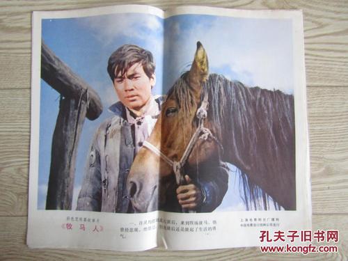 埼玉大学degree